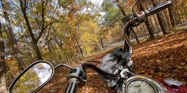FallRide