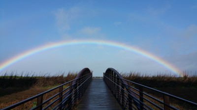 rainbow-and-bridge_t20_6lzkxv