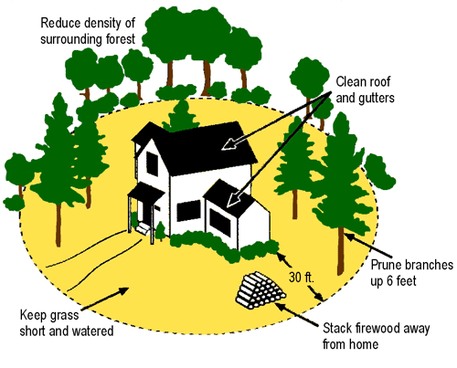 wildfire-defensible_space_md_dnr