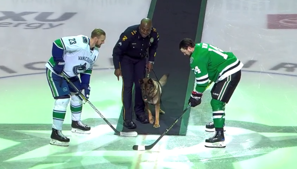 dallas stars FR night 17mar2019 k9 django dpd