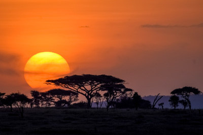 Serengeti_sunset-1001