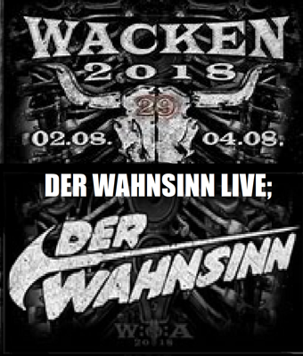 DER WAHNSINN