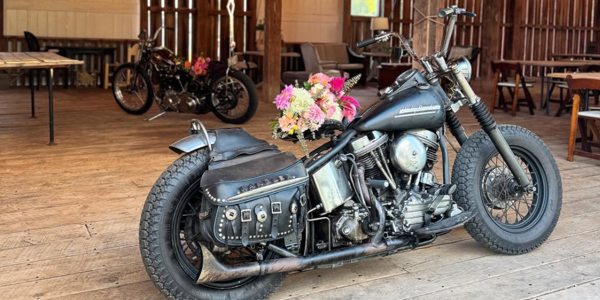 PrettyGoodChopperShowImg