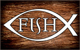 fmc-VI_bands_fish